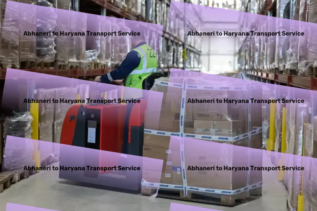 Abhaneri to Haryana Transport Customized goods logistics