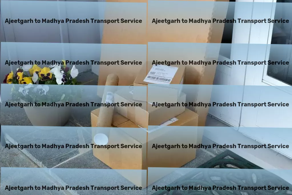 Ajeetgarh to Madhya Pradesh Transport Stay fit and active with home workout routines for everyone! - Long-haul cargo transport