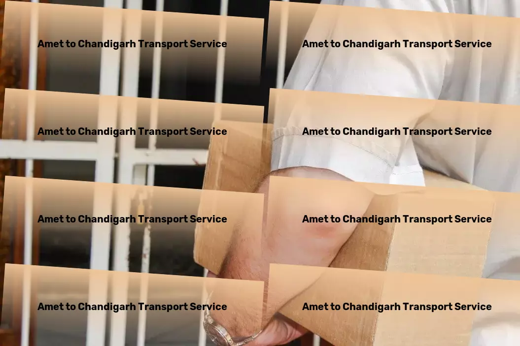 Amet to Chandigarh Transport Large-scale transport services