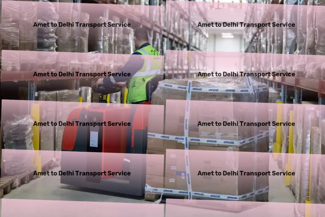 Amet to Delhi Transport Customized courier services