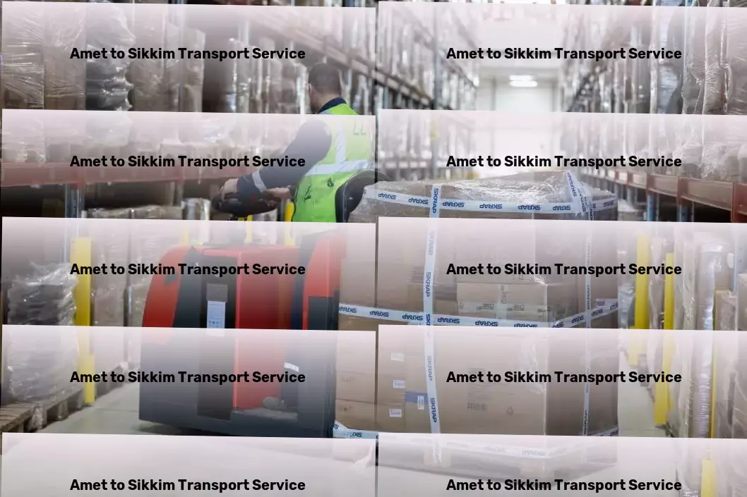 Amet to Sikkim Transport Local goods services