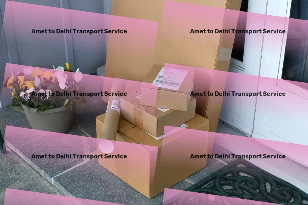 Amet to Delhi Transport Citywide goods delivery