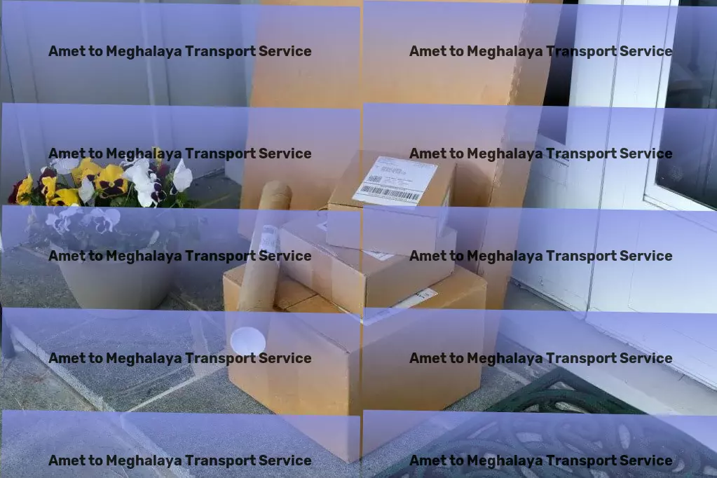 Amet to Meghalaya Transport Home goods moving