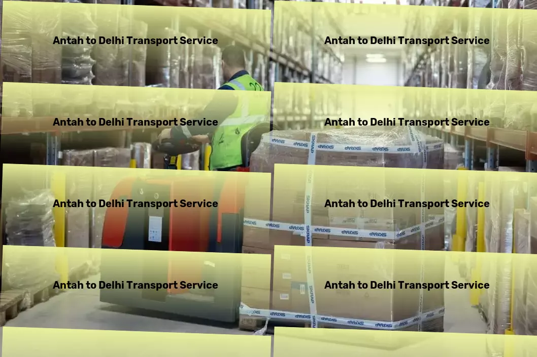 Antah to Delhi Transport National cargo logistics