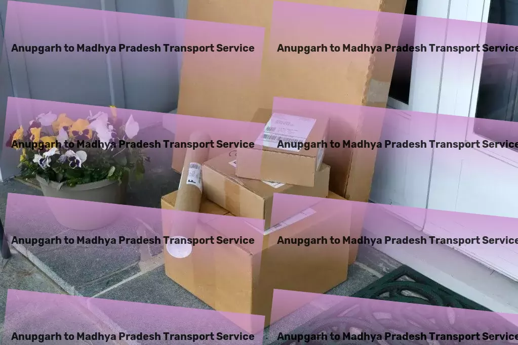 Anupgarh to Madhya Pradesh Transport Custom logistics solutions