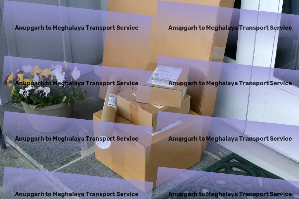 Anupgarh to Meghalaya Transport City-to-city goods logistics