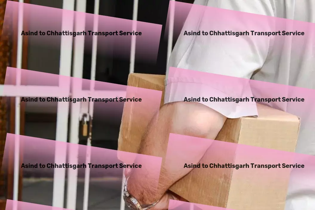 Asind to Chhattisgarh Transport Customized package logistics