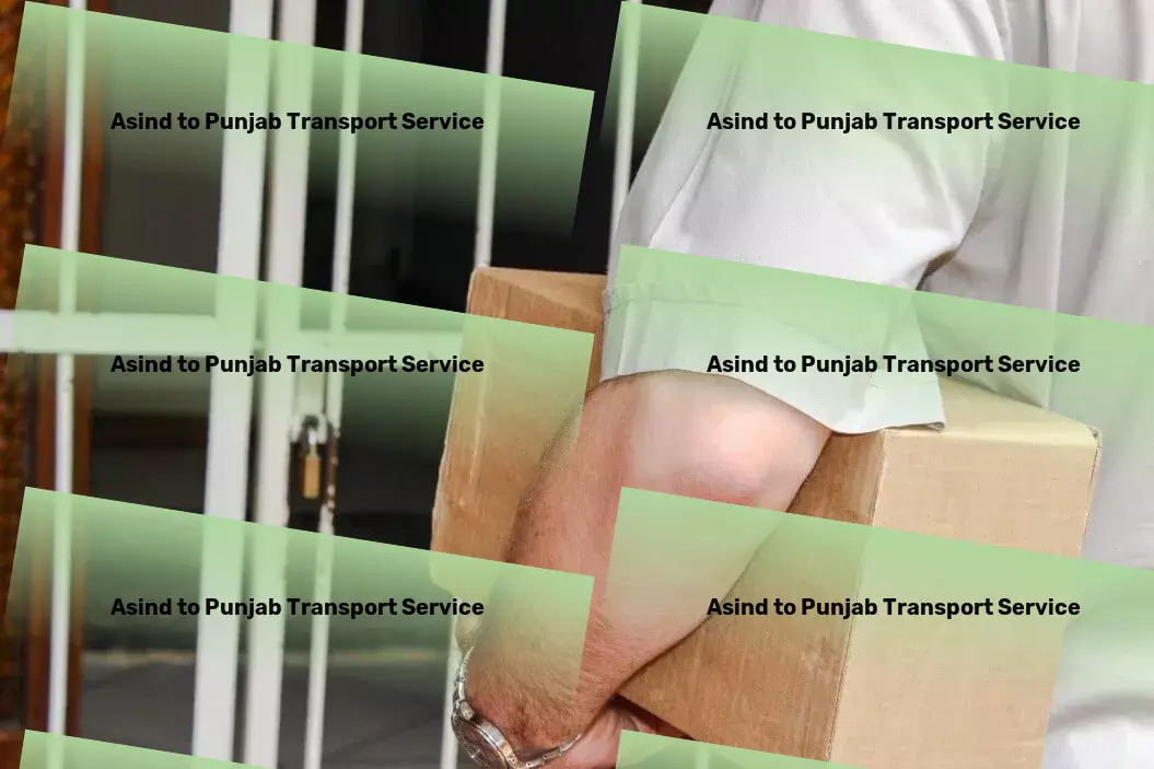 Asind to Punjab Transport Long-distance freight services