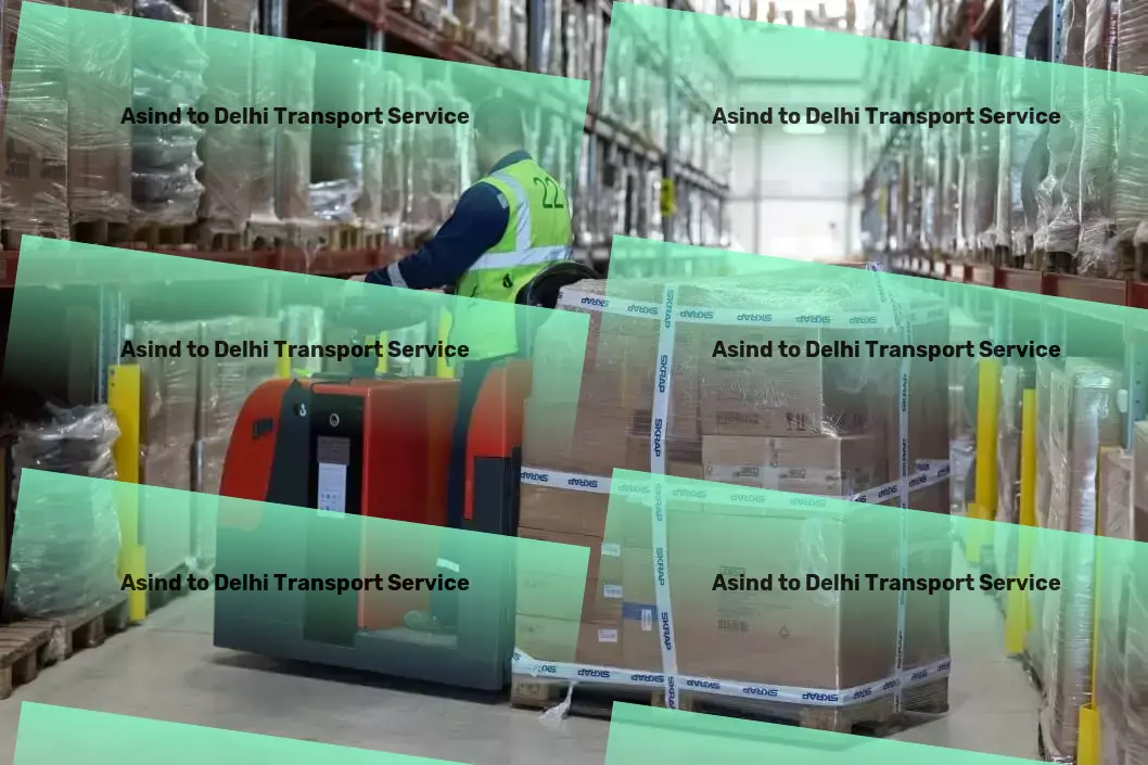 Asind to Delhi Transport Fast goods dispatch services