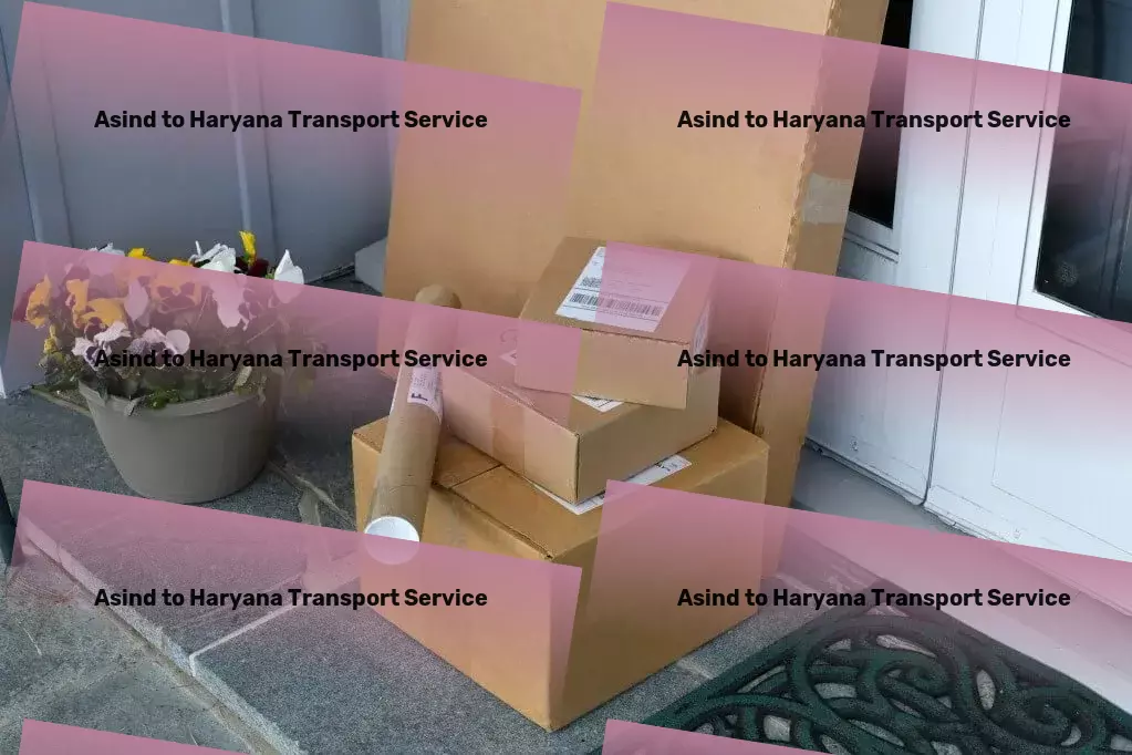 Asind to Haryana Transport Specialized household logistics