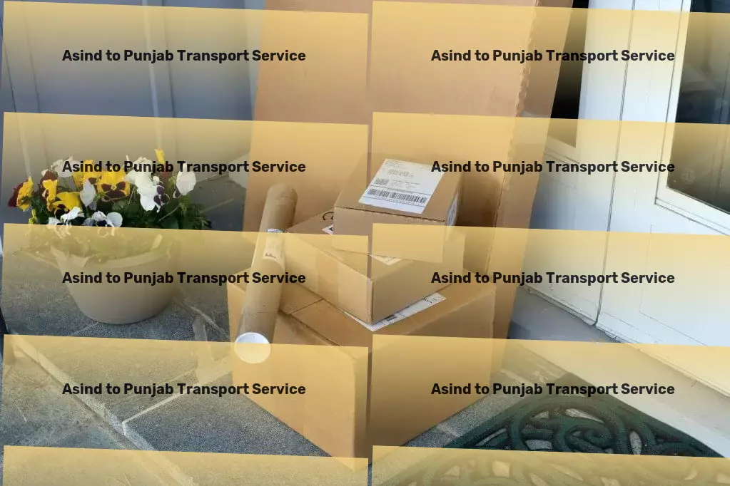 Asind to Punjab Transport Professional goods moving