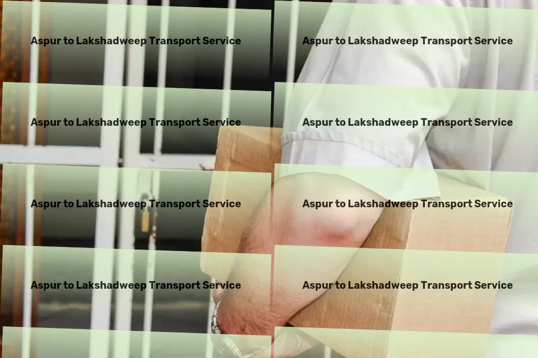 Aspur to Lakshadweep Transport Major logistics provider