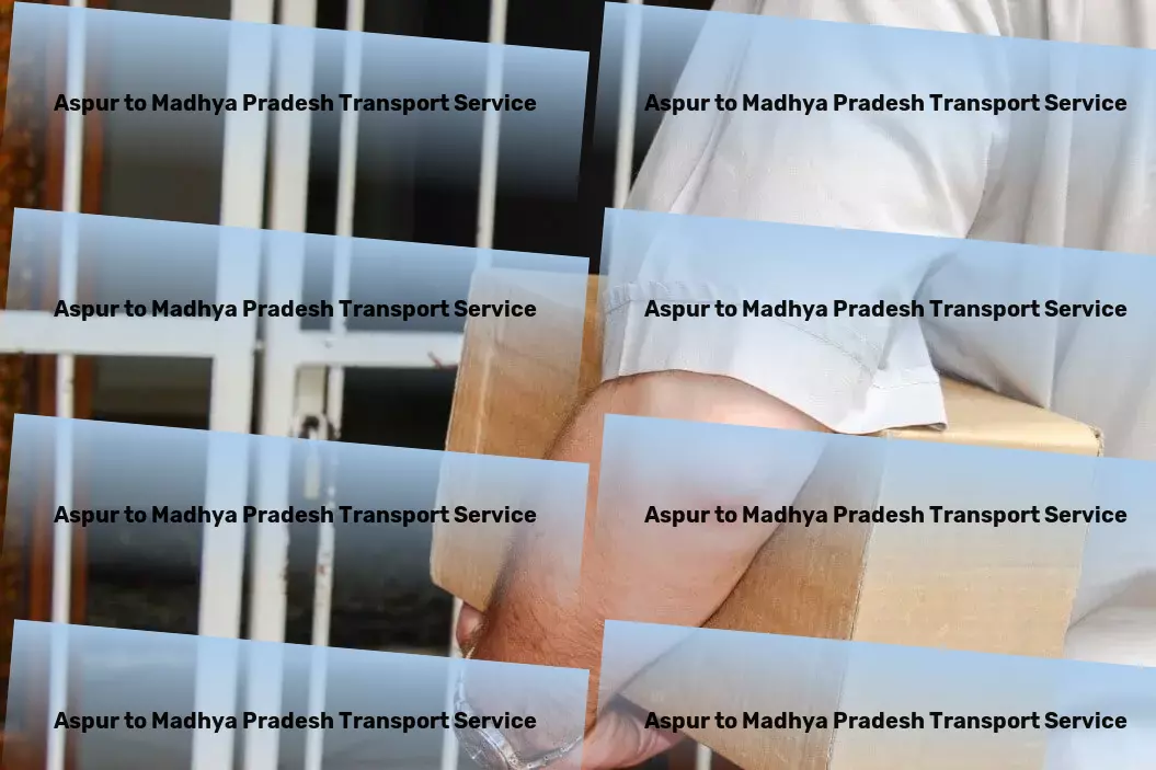 Aspur to Madhya Pradesh Transport Dynamic solutions for dynamic travel needs. - Local goods transport