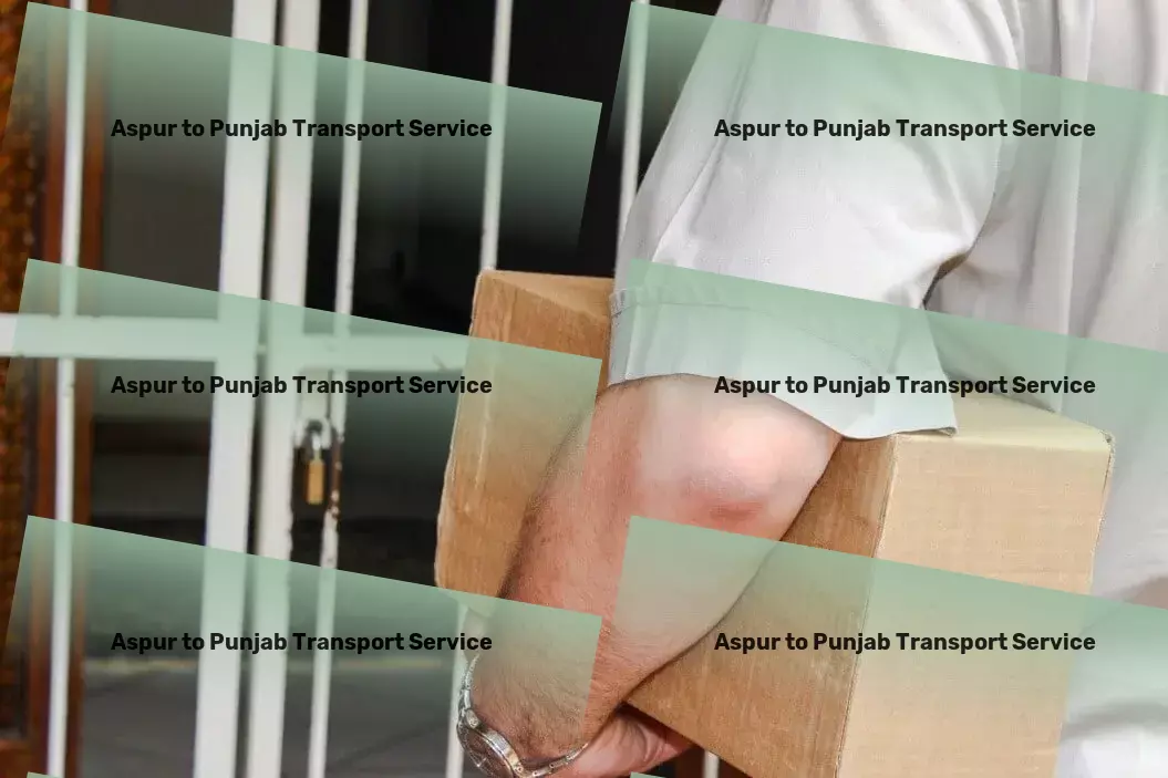 Aspur to Punjab Transport Full-scale courier services