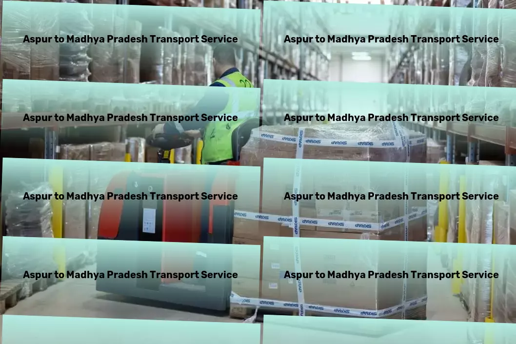 Aspur to Madhya Pradesh Transport Specialized transport and shipment