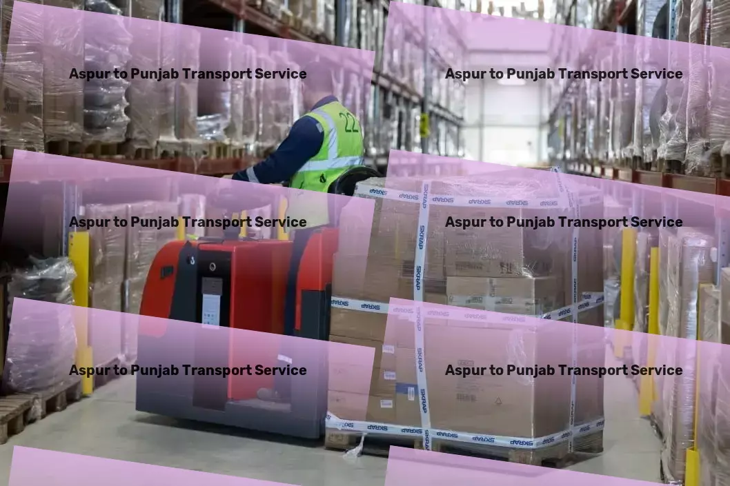 Aspur to Punjab Transport Heavy goods logistics