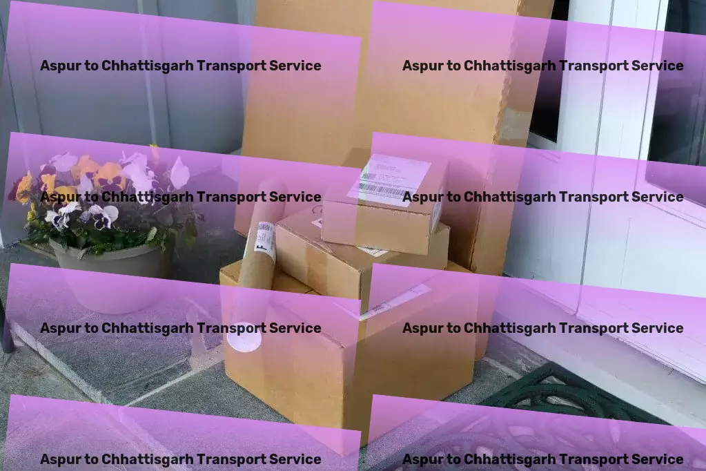 Aspur to Chhattisgarh Transport Maximizing efficiency for your logistics operations in India! - Specialized furniture moving