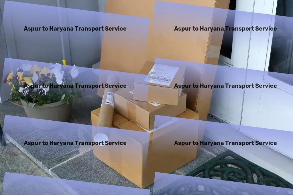 Aspur to Haryana Transport Rapid goods dispatch