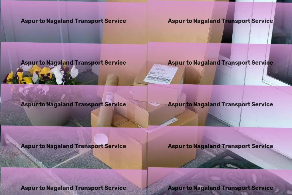 Aspur to Nagaland Transport Fast courier services