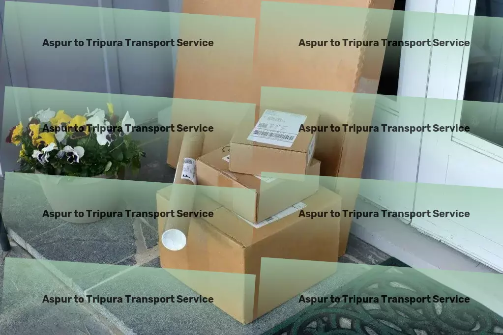 Aspur to Tripura Transport Nationwide moving services