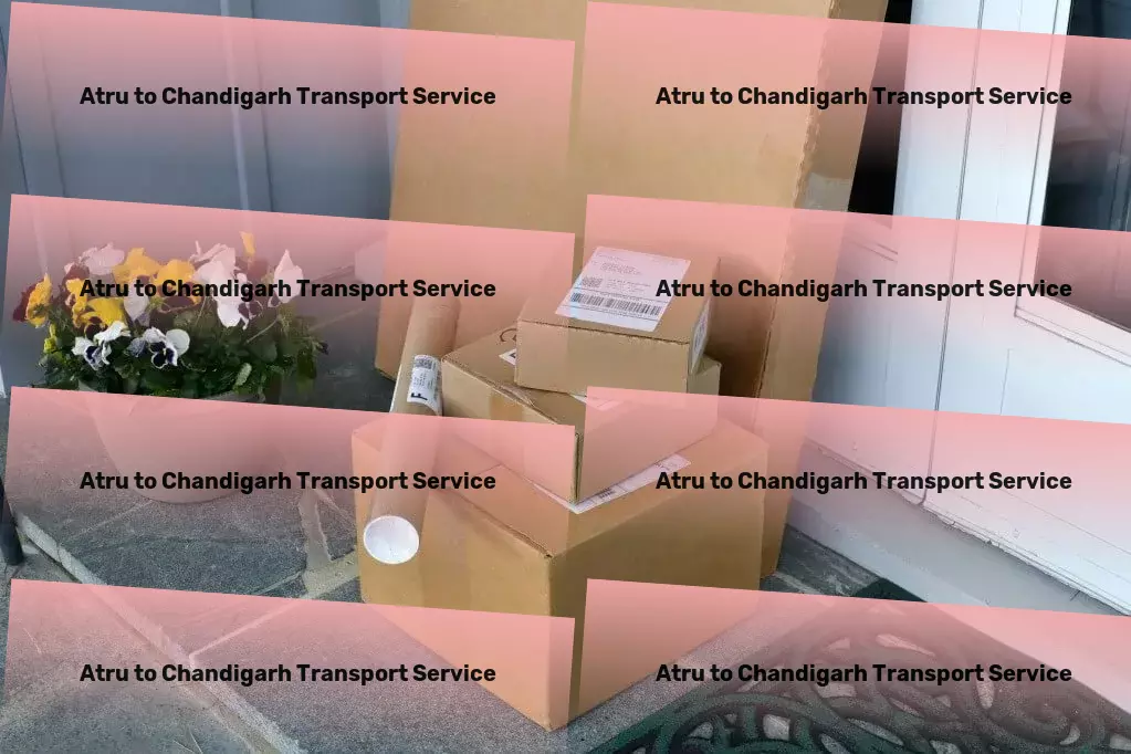 Atru to Chandigarh Transport Customized logistics solutions