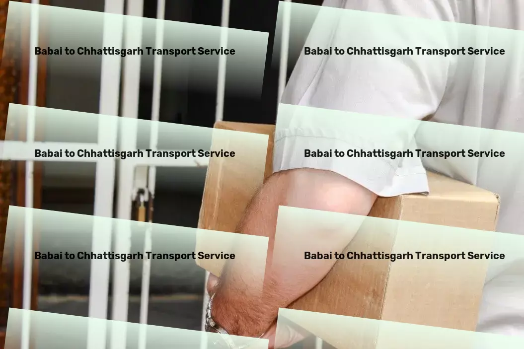 Babai to Chhattisgarh Transport Specialized package transport