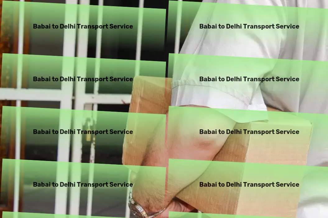 Babai to Delhi Transport Create a successful blog from scratch with step-by-step guidance. - Efficient transport operations