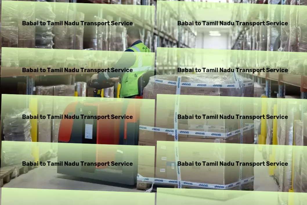 Babai to Tamil Nadu Transport Express freight services