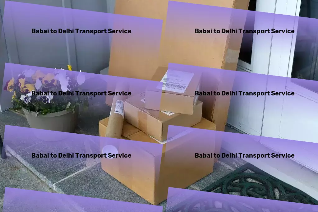 Babai to Delhi Transport Critical package delivery