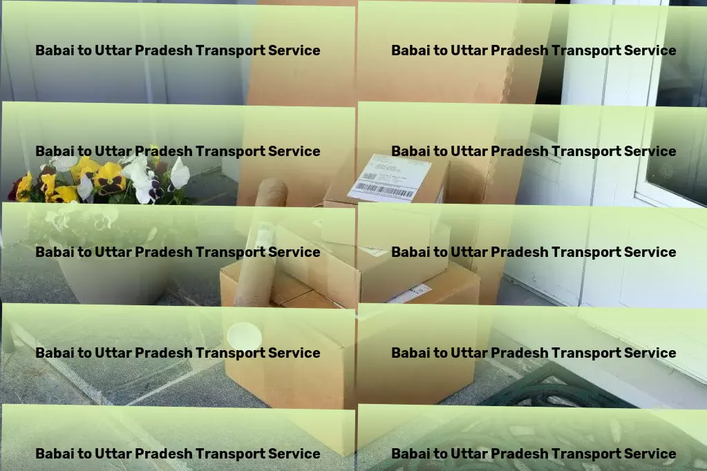 Babai to Uttar Pradesh Transport Professional goods transport