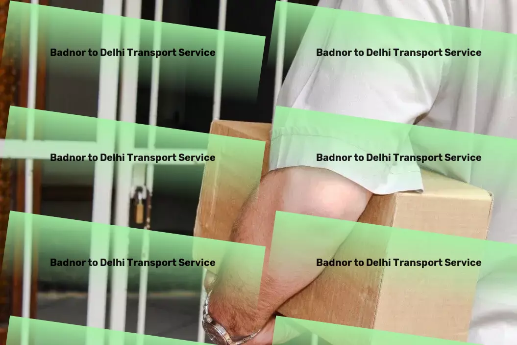 Badnor to Delhi Transport Efficient logistics solutions