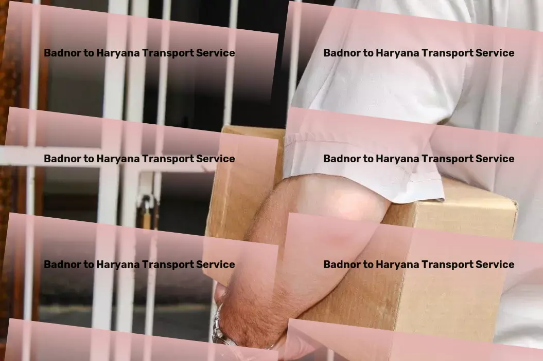 Badnor to Haryana Transport Dedicated transport logistics