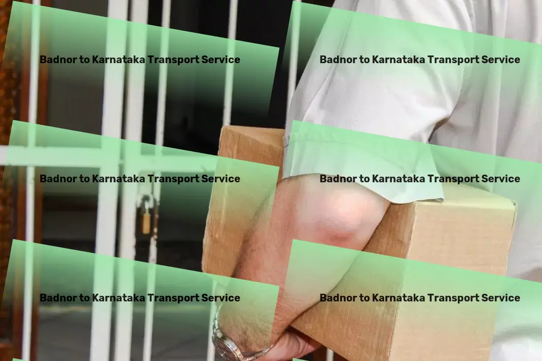 Badnor to Karnataka Transport Build meaningful relationships through effective communication techniques. - Long-haul cargo transport