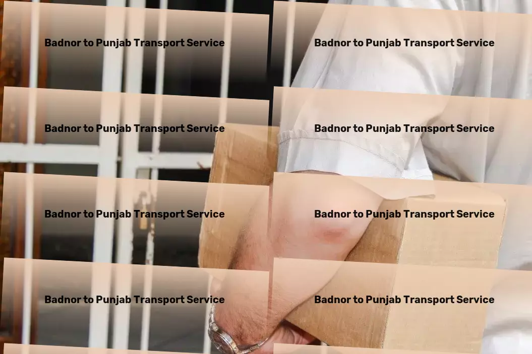 Badnor to Punjab Transport Elevating pet care to new heights. - Nationwide freight services