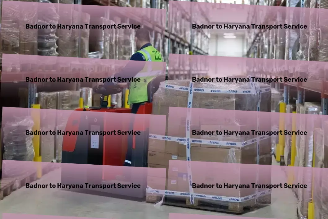 Badnor to Haryana Transport Exceeding expectations with every delivery within India! - Efficient shipping solutions