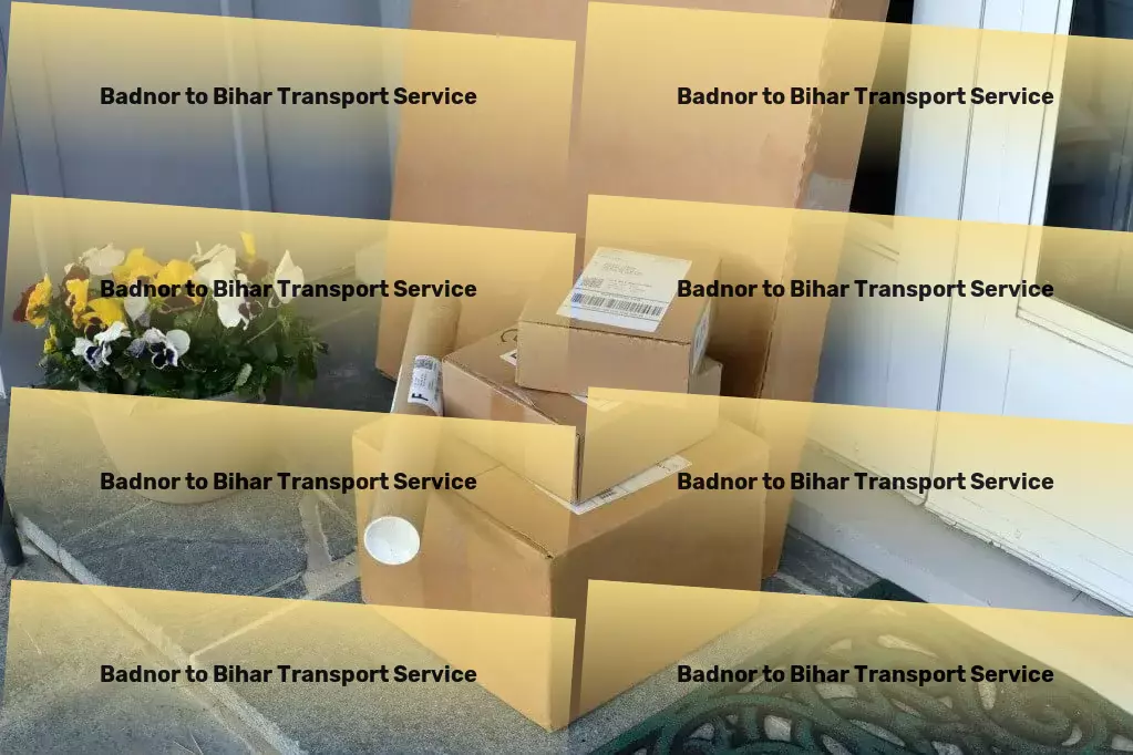 Badnor to Bihar Transport Rapid cargo forwarding