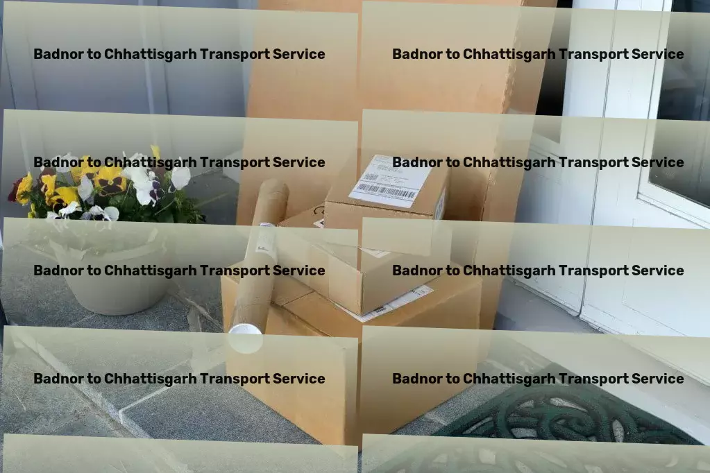 Badnor to Chhattisgarh Transport Specialized goods moving