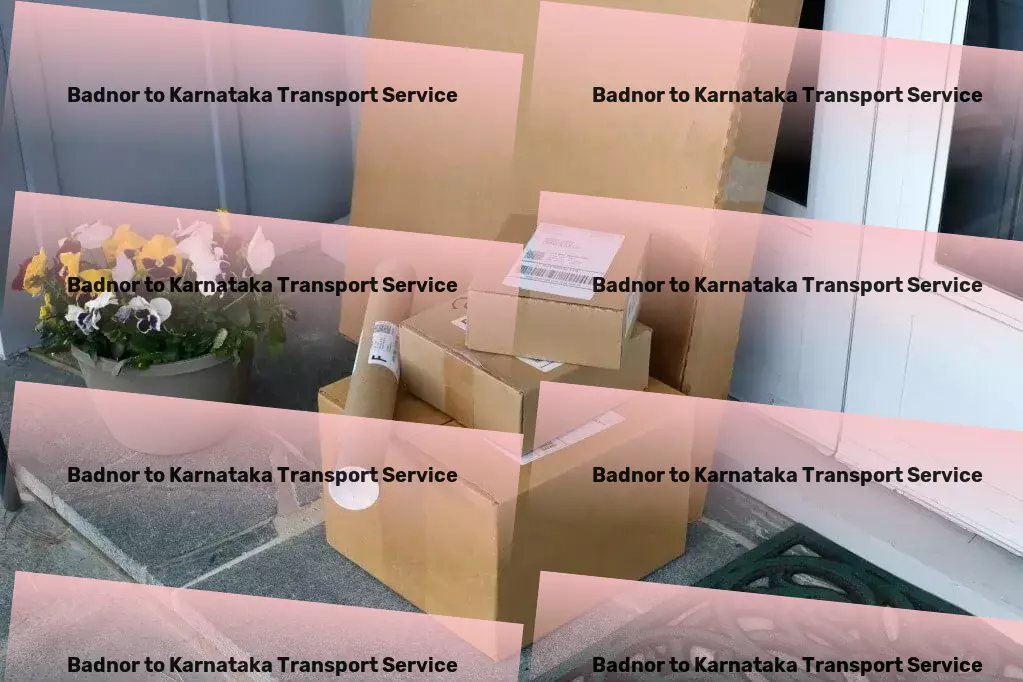 Badnor to Karnataka Transport Efficient shipping solutions