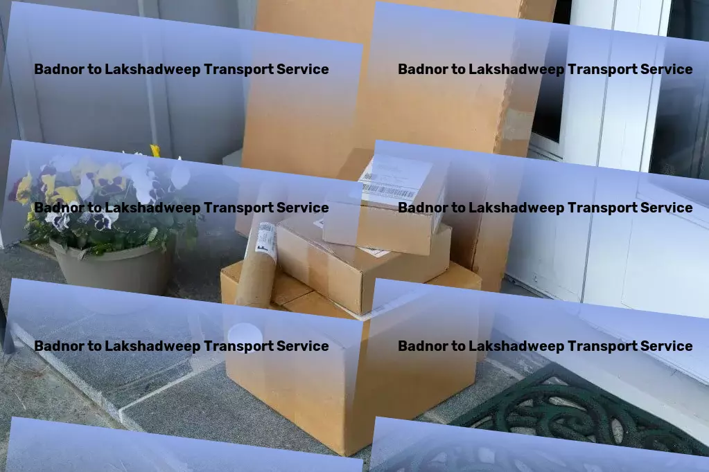 Badnor to Lakshadweep Transport Freight transport solutions