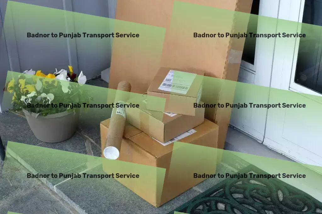 Badnor to Punjab Transport Innovative goods forwarding