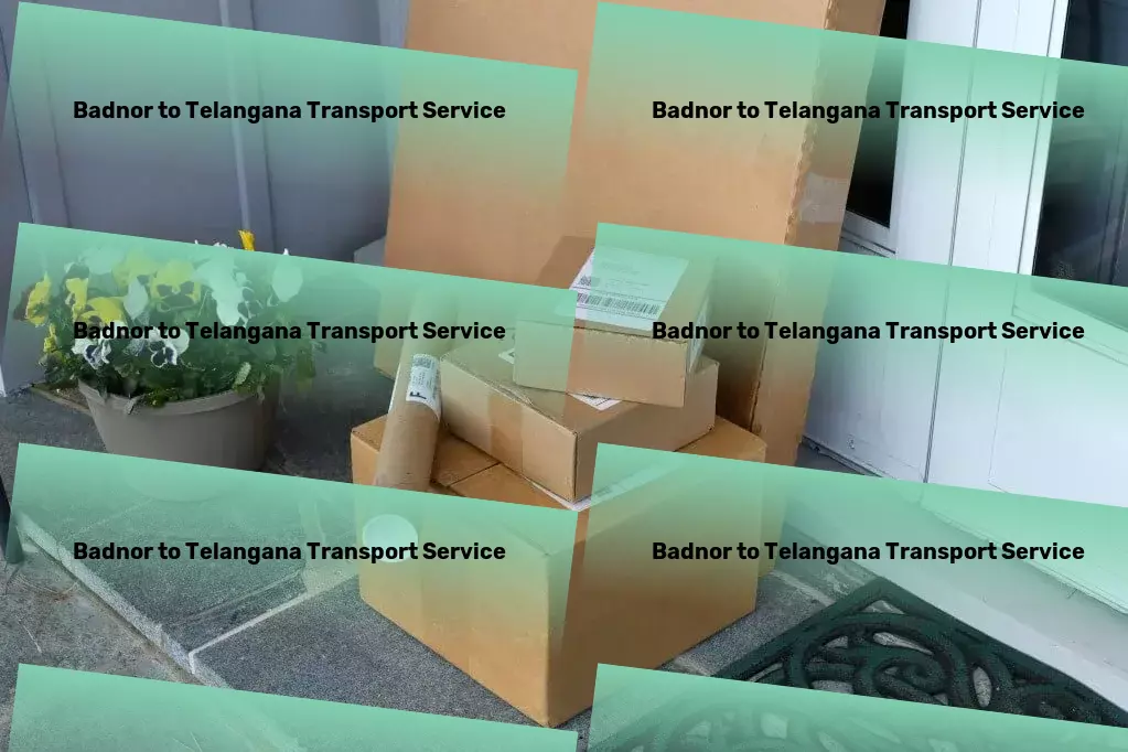 Badnor to Telangana Transport Elevate your international shipping experience with us! - Professional moving logistics