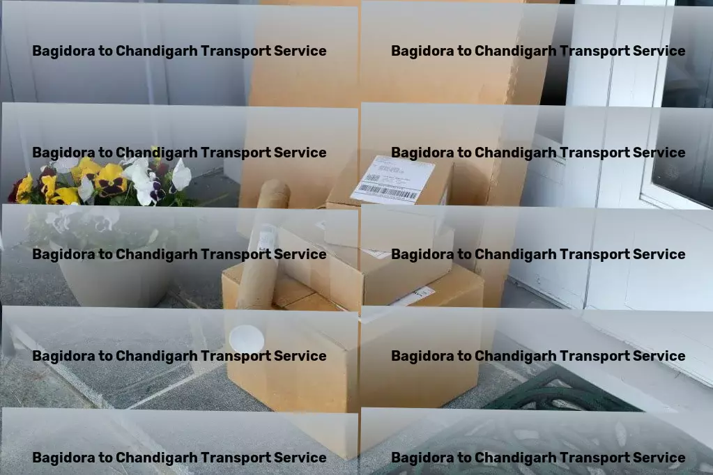 Bagidora to Chandigarh Transport Expedited package services